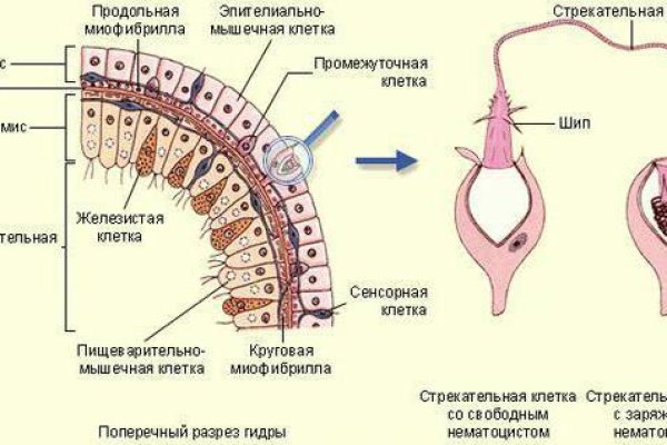 Кракен зеркало onion