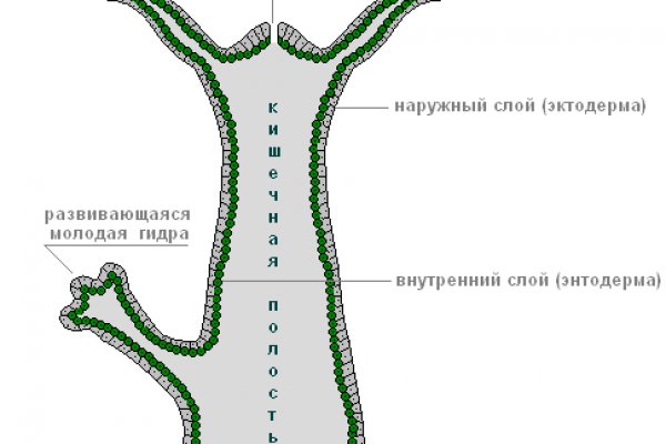 Действующие ссылки на кракен