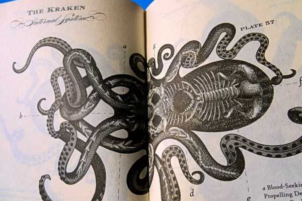 Кракен 2kraken biz