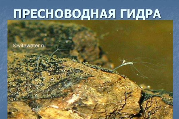 Заказать даркнет