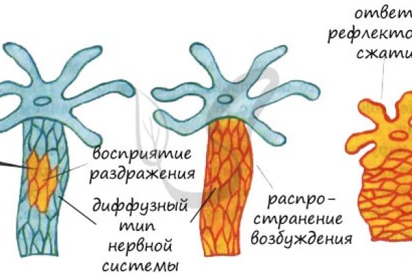 Http kraken 2kr