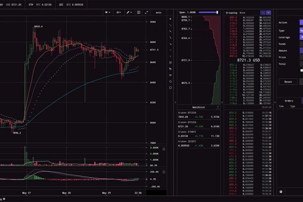 Как вывести деньги с kraken