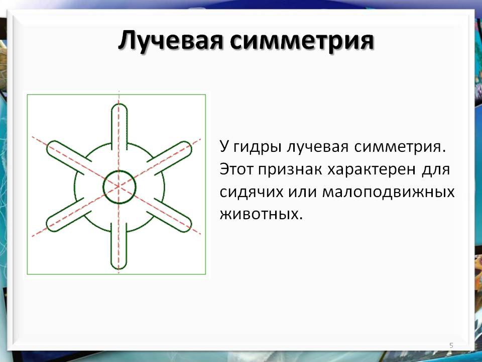 Кракен маркетплейс зеркало krk market com