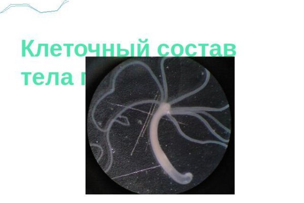 Кракен площадка ссылка