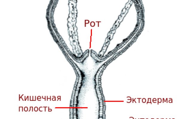 Кракен даркнет отзывы