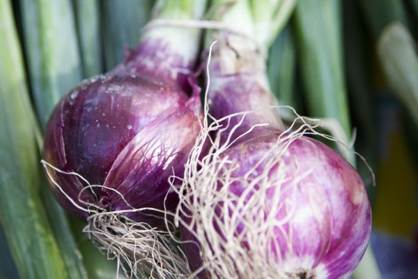 Даркнет маркет кракен onion