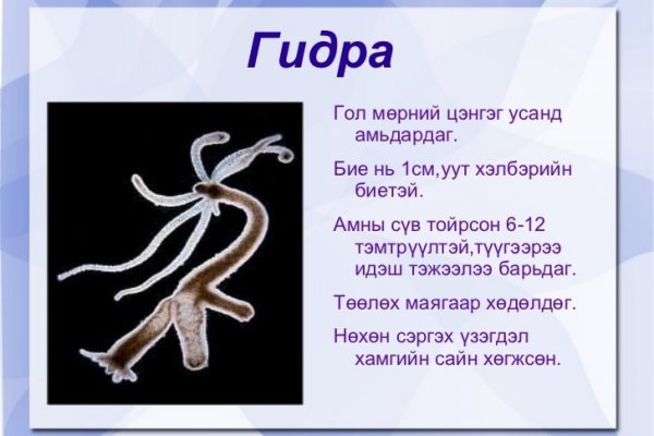 Кракен даркнет зеркало