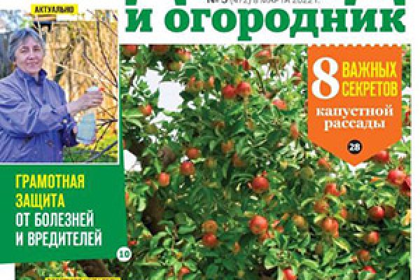 Кракен ссылка на сайт krk store com